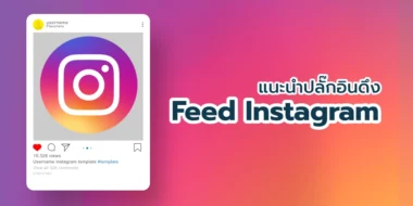 แนะนำปลั๊กอินดึง Feed Instagram มาแสดงที่หน้าเว็บ