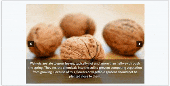 A group of walnuts on a table

Description automatically generated