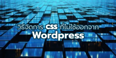 วิธีจัดการ CSS ที่ไม่ใช้ออกจาก WordPress