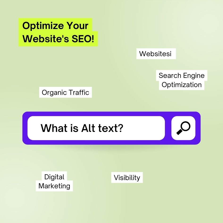 A search engine optimization search bar

Description automatically generated