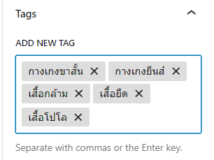 การใช้แท็ก (Tag) สำหรับ WordPress - WPThaiuser by Ruk-Com