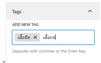 การใช้แท็ก (Tag) สำหรับ WordPress - WPThaiuser by Ruk-Com